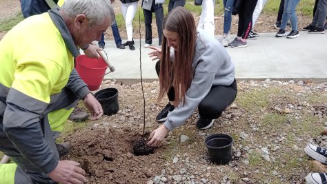 Zuhaitz landaketa sinbolikoa egin dute Lezo Institutuko 4. mailako ikasleek Altamira Parkean