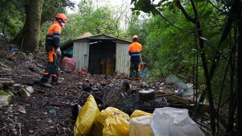 INICIADAS LAS LABORES DE LIMPIEZA DEL BOSQUE ENTRE LA AVENIDA DE JAIZKIBEL Y EL PARQUE ALTAMIRA