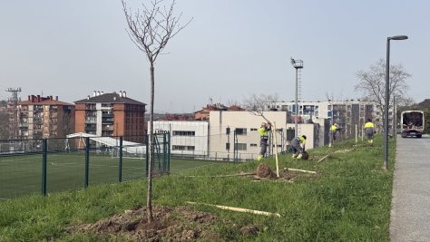 LEZOKO UDALAK ZUHAITZ BERRIAK LANDATU DITU