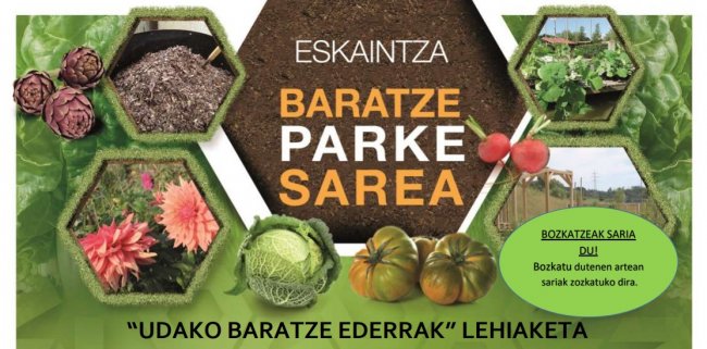 Baratze ederrenaren lehiaketa