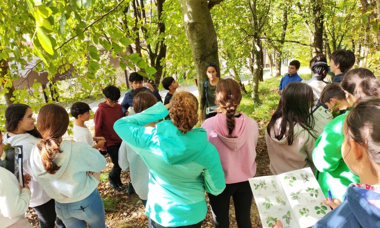 INSTITUTUA ZUHAITZAK