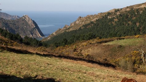 JPG fitxategia