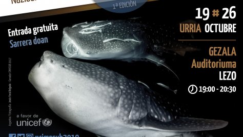Ciclo Internacional de Cine Submarino