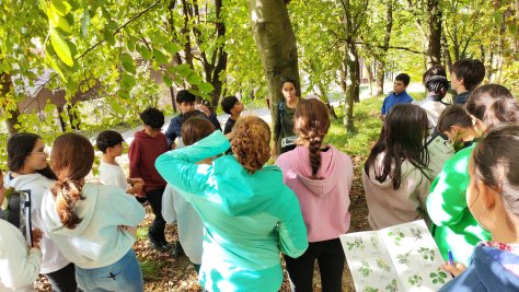 EL ALUMNADO DEL INSTITUTO DE LEZO TRABAJAN EN LA IDENTIFICACIÓN DE LOS ÁRBOLES DEL PARQUE DE ALTAMIRA CON LA COLABORACIÓN DE LA SOCIEDAD DE CIENCIAS ARANZADI