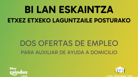 Etxez etxeko laguntzaileak