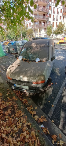 Auto abandonatuak